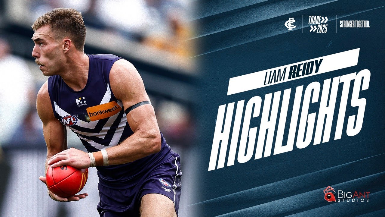 New Blue | Reidy highlights