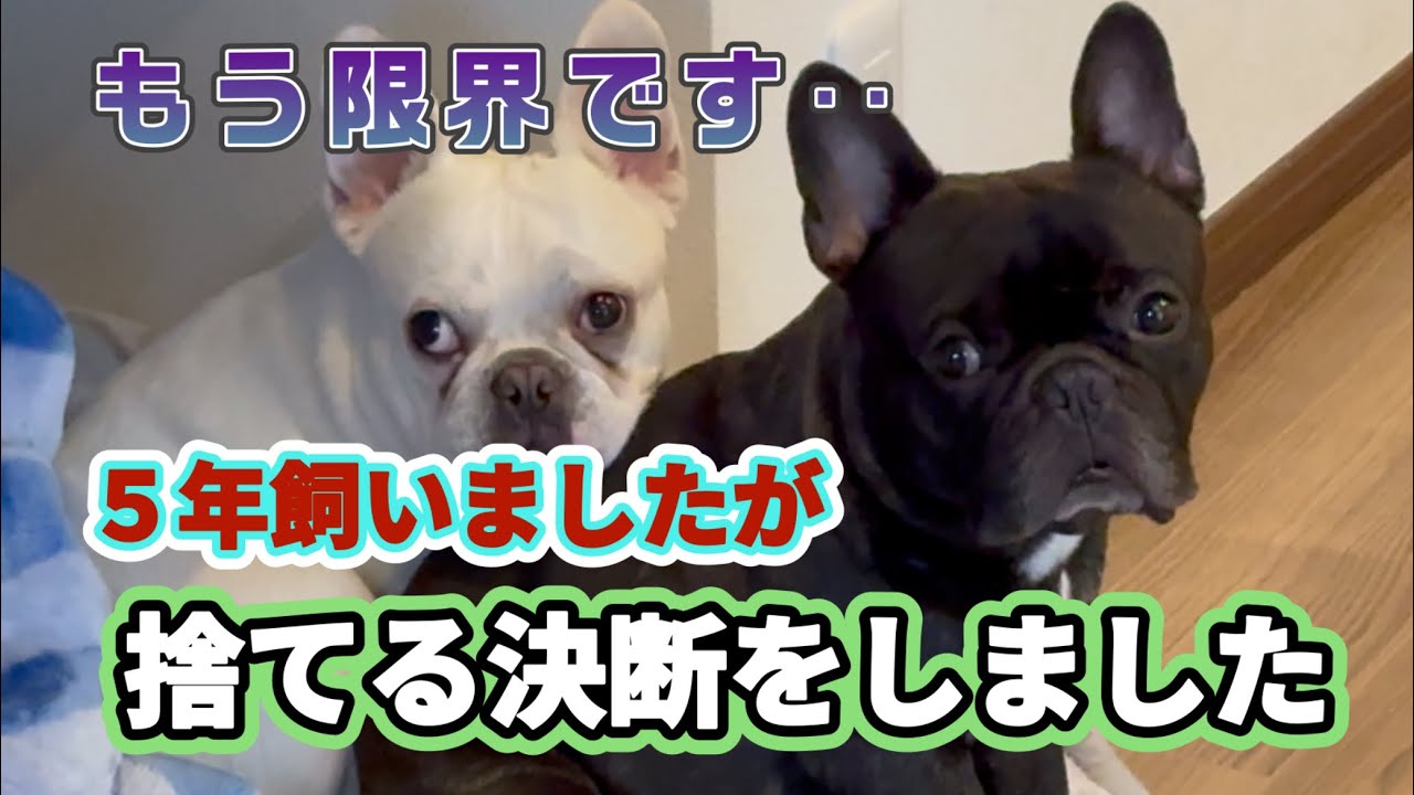 究極の決断！捨てる選択‥衝撃のラスト！