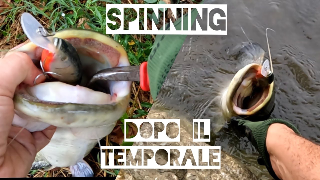 Siluri a spinning dopo il temporale