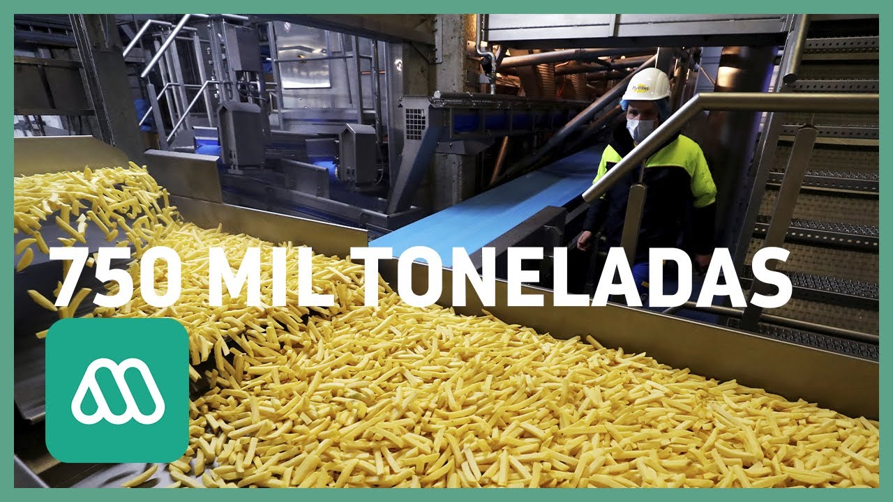 Bélgica | Piden consumir papas fritas para evitar botar 750 mil toneladas acumuladas por coronavirus