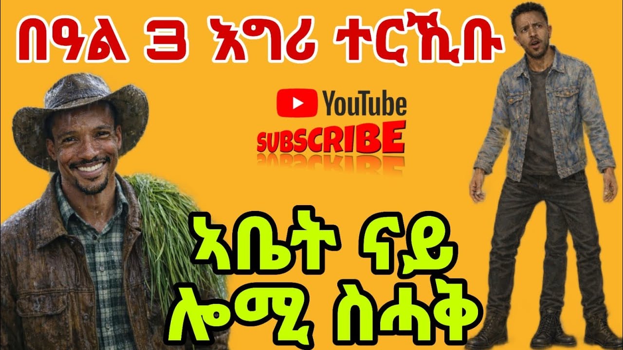 ብዓል 3ተ  እግሪ ተረኺቡ  ኣቤት ናይ ሎሚ ስሓቕ