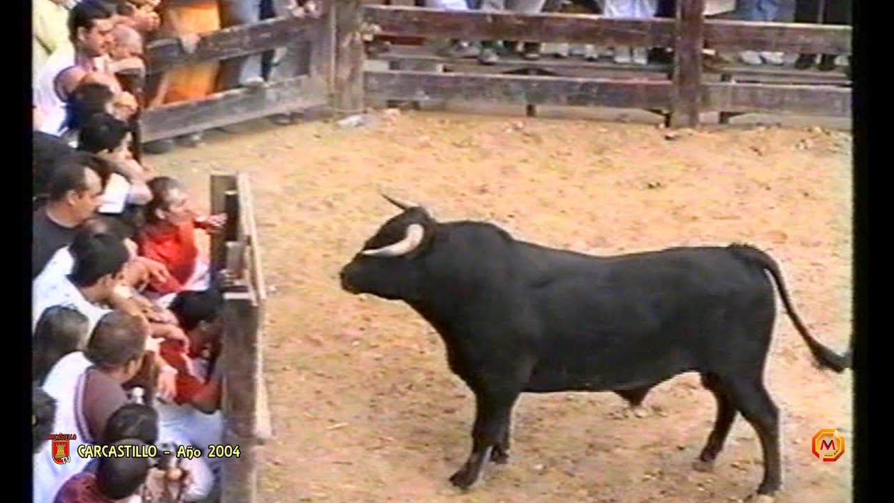 Tv Carcastillo - Año 2004 - Fiestas