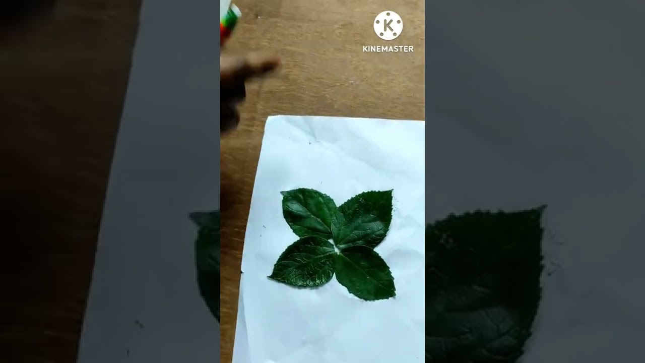 activities for preschool kids#leaf animal for kids