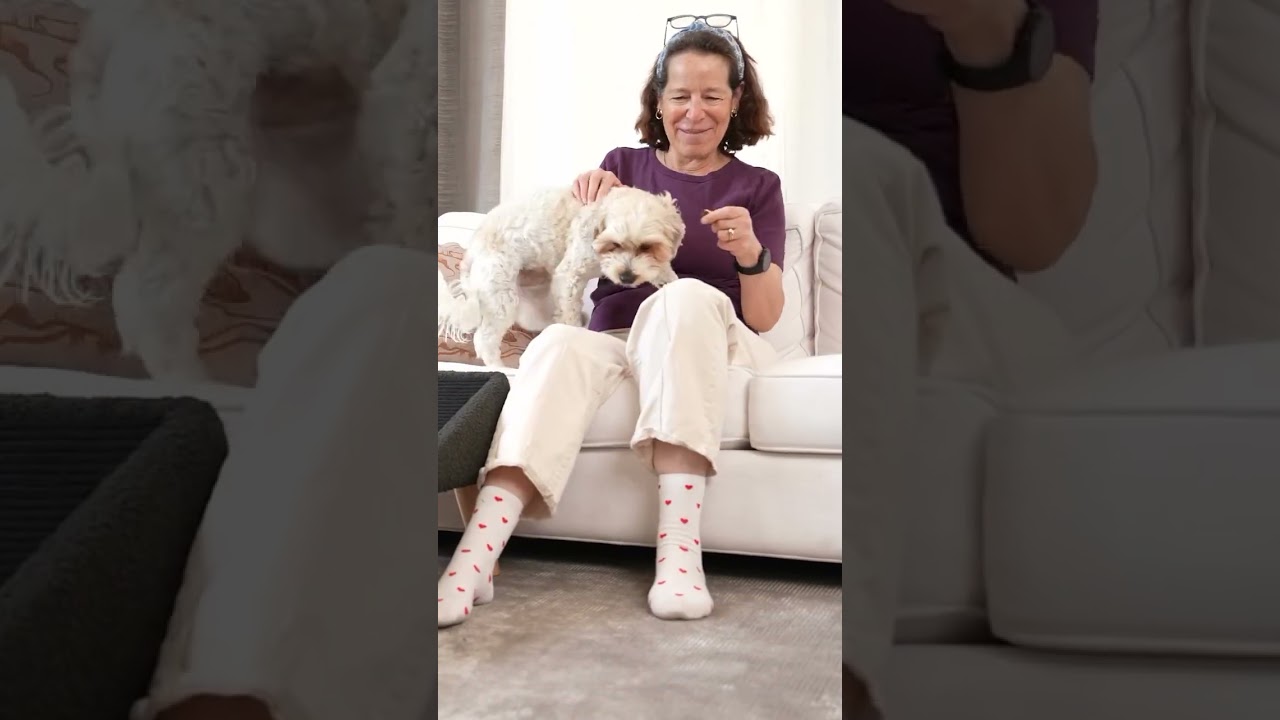 Dog ramp ottoman combo! They call it SeatMate