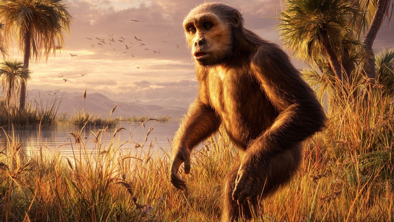 Os Primeiros Humanos: A Verdade Sobre Macacos, Ancestrais e De Onde Viemos