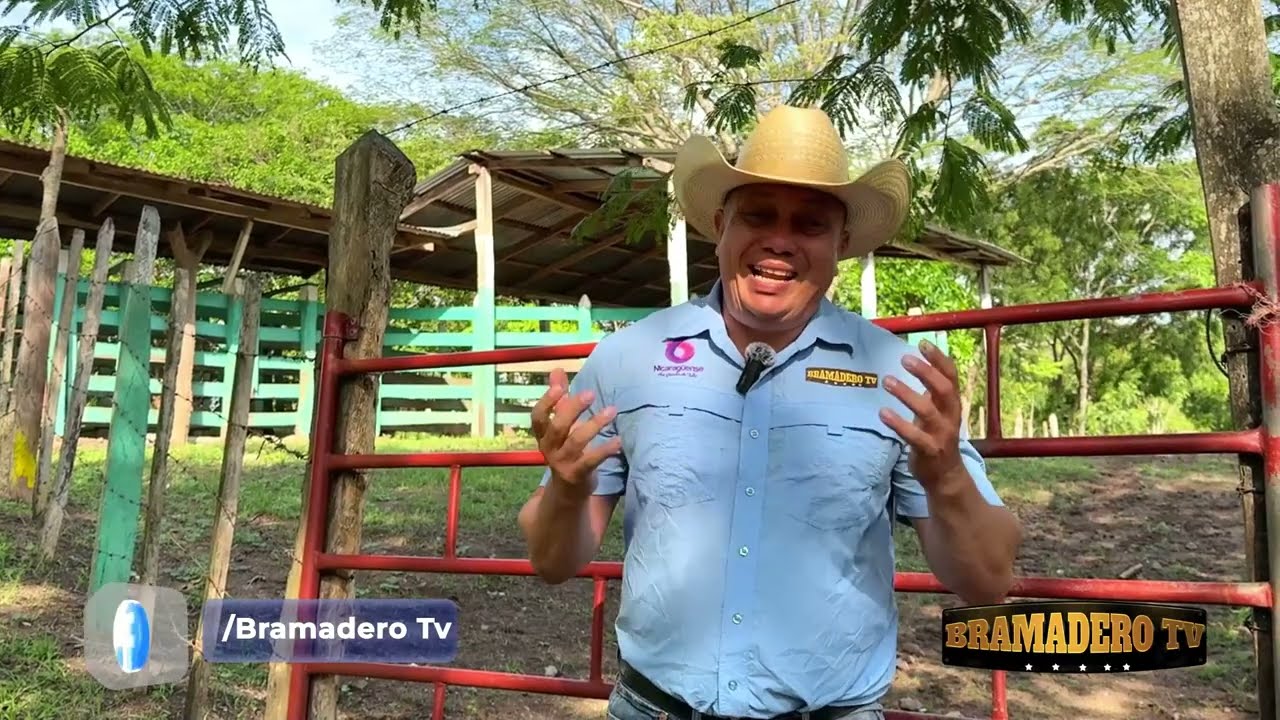 ULTIMO DÍA DE LAS FIESTAS PATRONALES TEUSTEPE 2024
