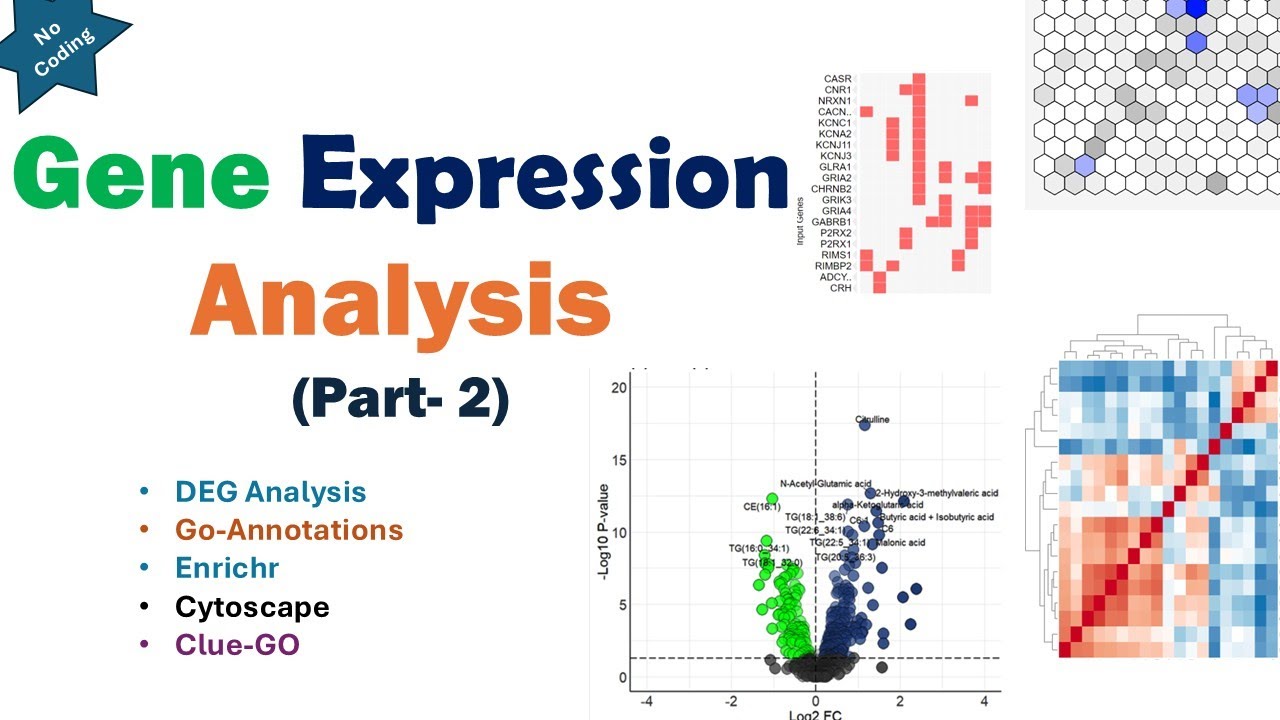 Руководство для начинающих по анализу экспрессии генов — Часть 2 | GoAnnotations | Cytoscape | En...