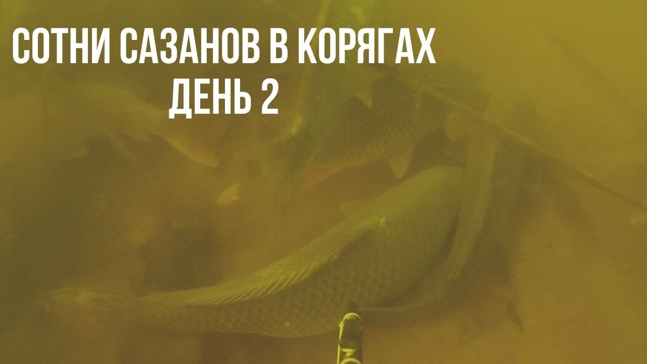 ПОДВОДНАЯ ОХОТА НА Р. АХТУБА В АПРЕЛЕ. МАГАЗИН