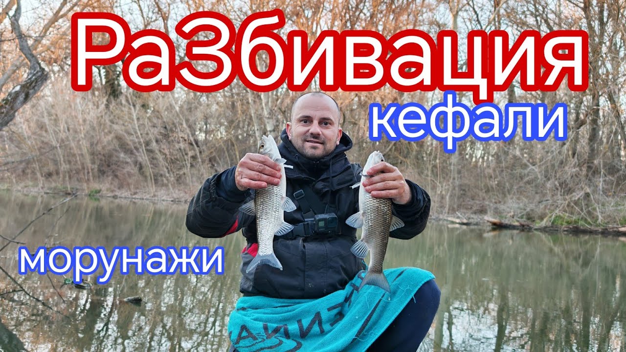 КАСАПНИЦА на РЕКА ТУНДЖА ! КОЛКО РИБИ ХВАНАХ за 2 ЧАСА РИБОЛОВ! КЕФАЛИ И МОРУНАЖИ на ПЛУВКА!
