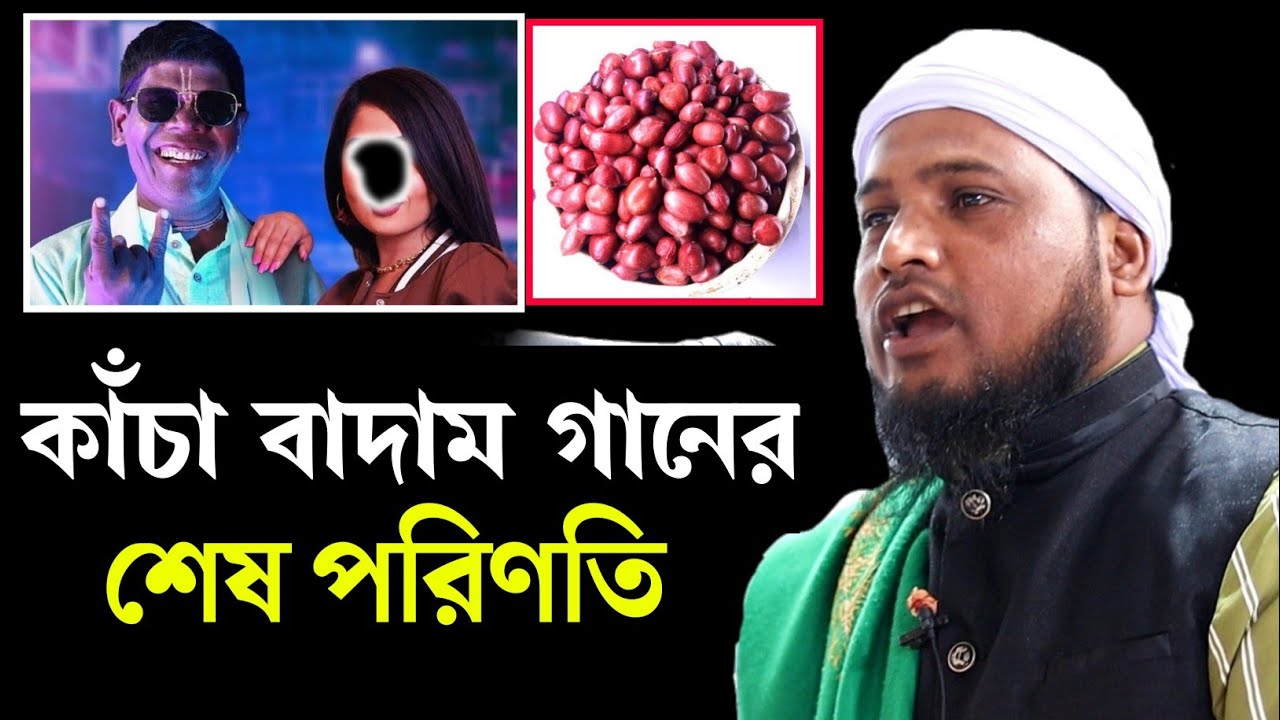 কাঁচা বাদাম গানের শেষ পরিণতি | Maulana Nazrul Islam juktibadi Sahib Waz