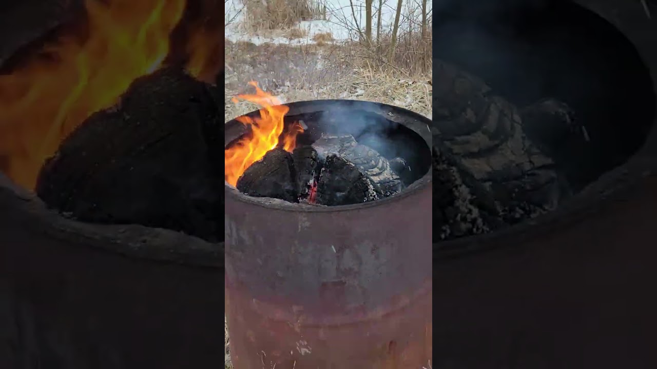 Мистер Фокс подбирает объедки
