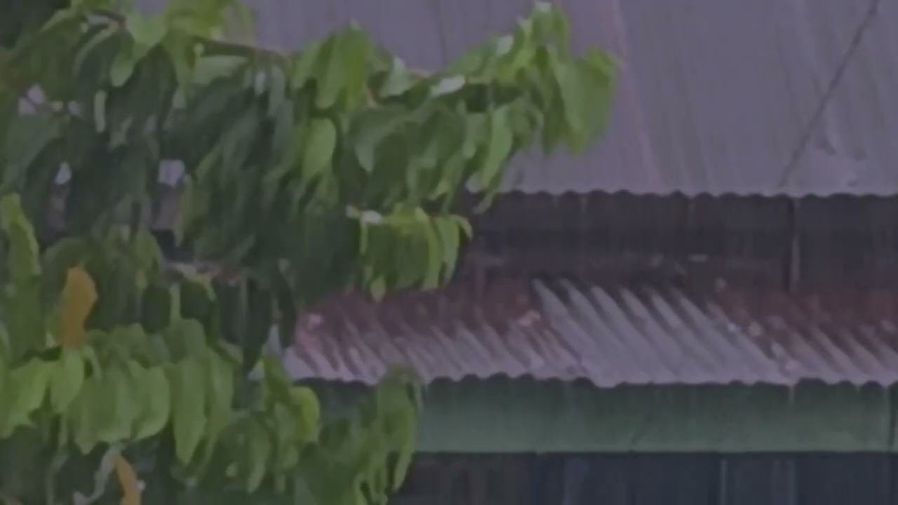 Relaxing Rain Sounds and Thunderstorms | Heavy Rain on Tin Roof for Stress Relief Sleep