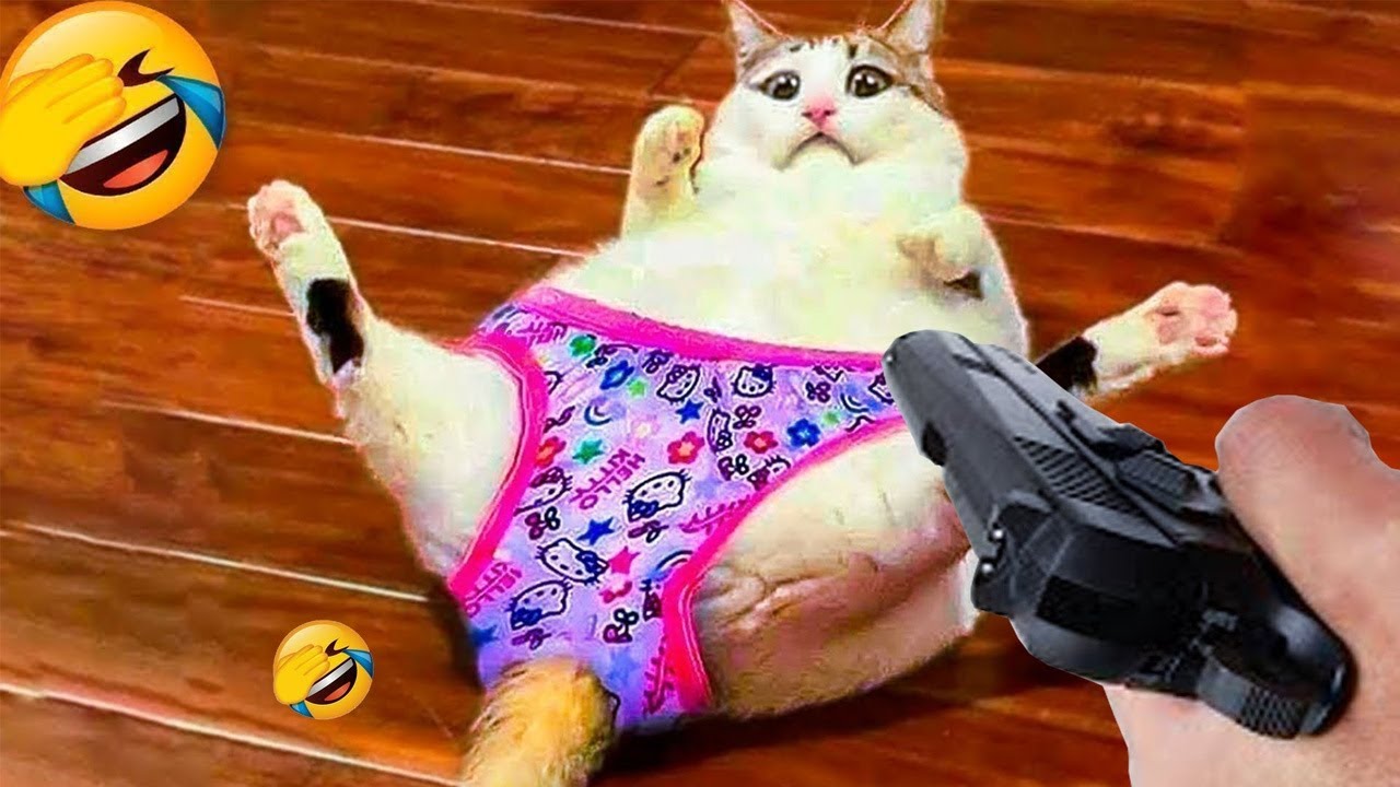 You Laugh You Lose 😼 Funniest Cats and Dogs 2026🤣 Part 5