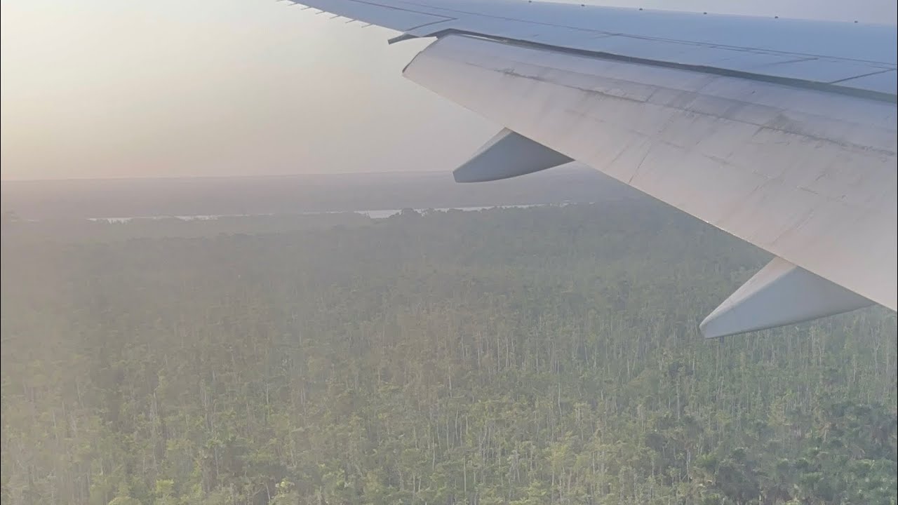Flying over the Amazon rainforest 🇬🇾