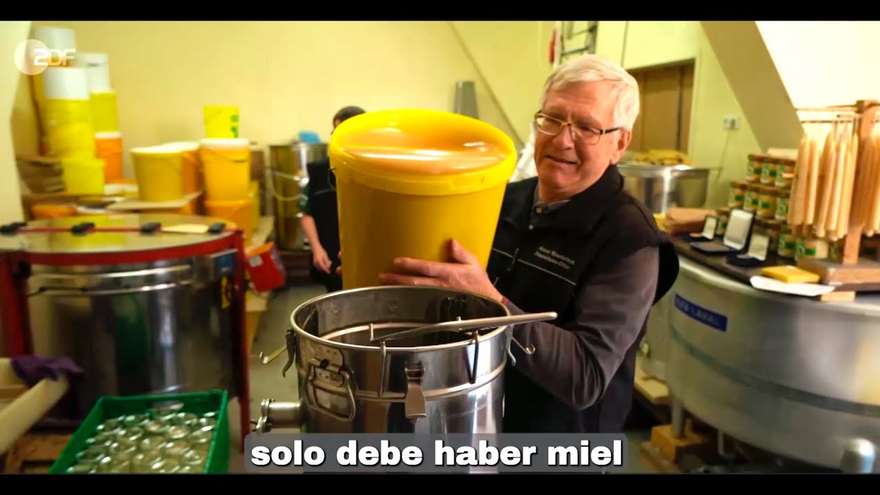 Impacto de la adulteración de la miel entre los apicultores europeos y su necesaria remediación