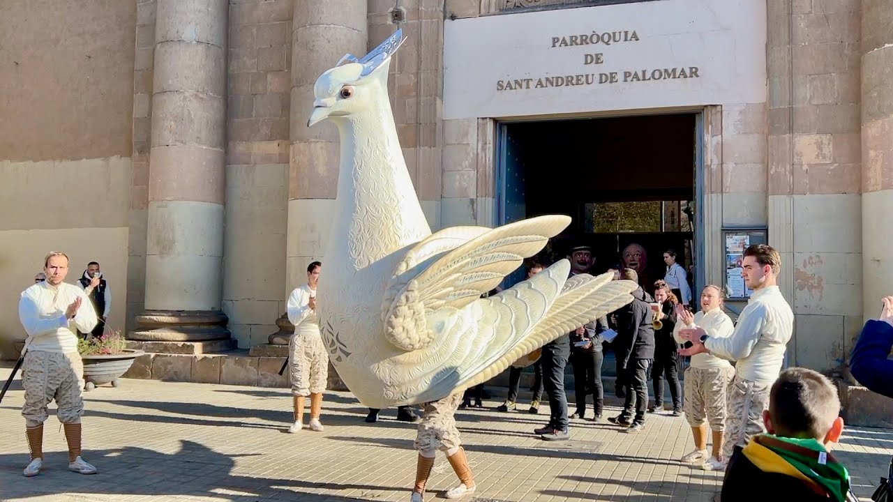 La gran pel·lícula - Matí de Festa Major de Sant Andreu de Palomar 2023 (Tots els Episodis)