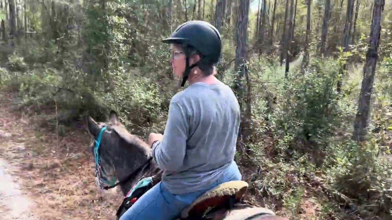 First trail ride on Twix 