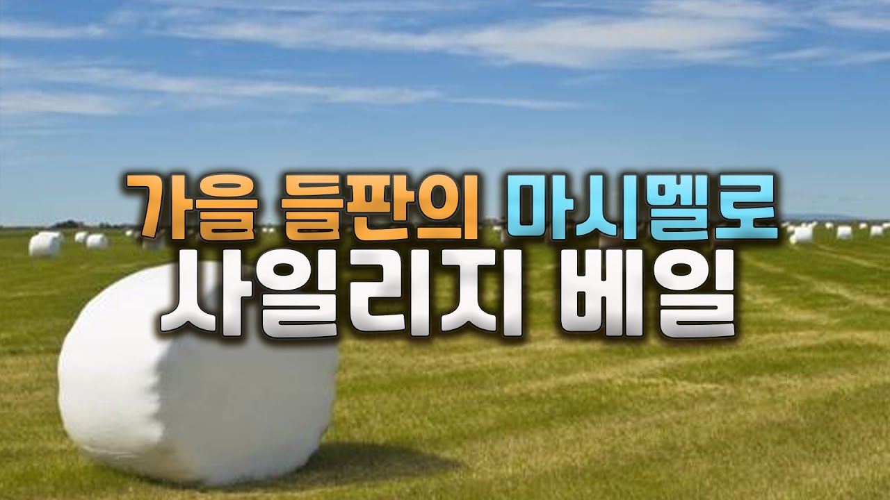 [2분 상식] 가을 들판의 마시멜로, 사일리지 베일이 만들어지는 과정