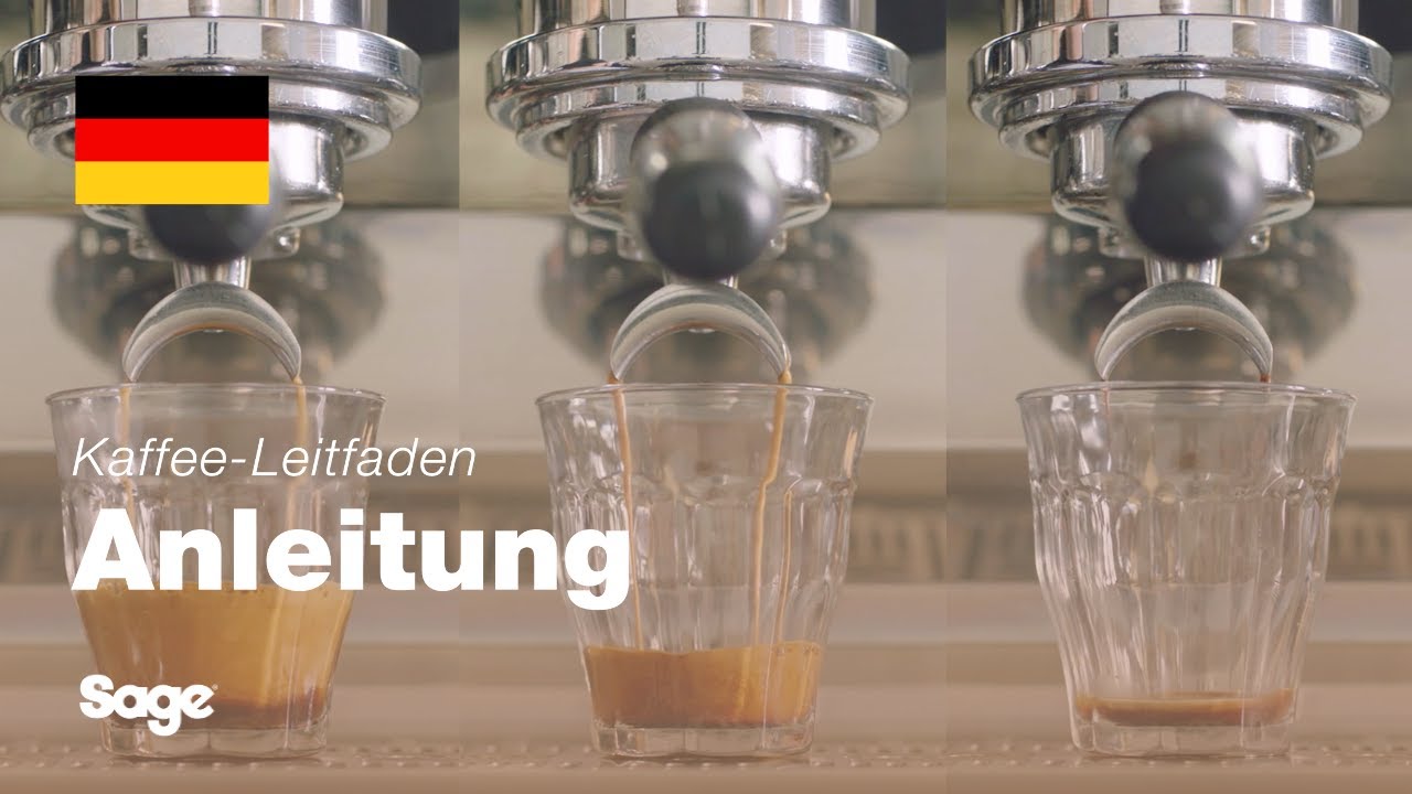 The Barista Pro™ | Extraktionsanleitung für den perfekten Espresso | Sage Appliances DE
