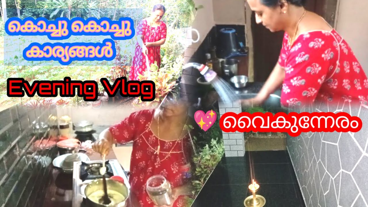 വൈകുന്നേരത്തെ കൊച്ചു കൊച്ചു കാര്യങ്ങൾ 💖 Evening Vlog 💖 Day in my Life 💖 Village Life Style 