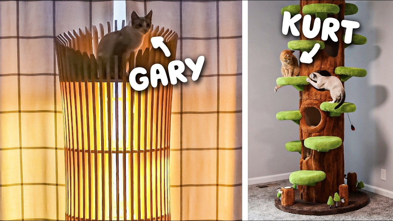 У меня есть сумасшедшие кошачьи деревья, чтобы вызвать реакцию моих кошек