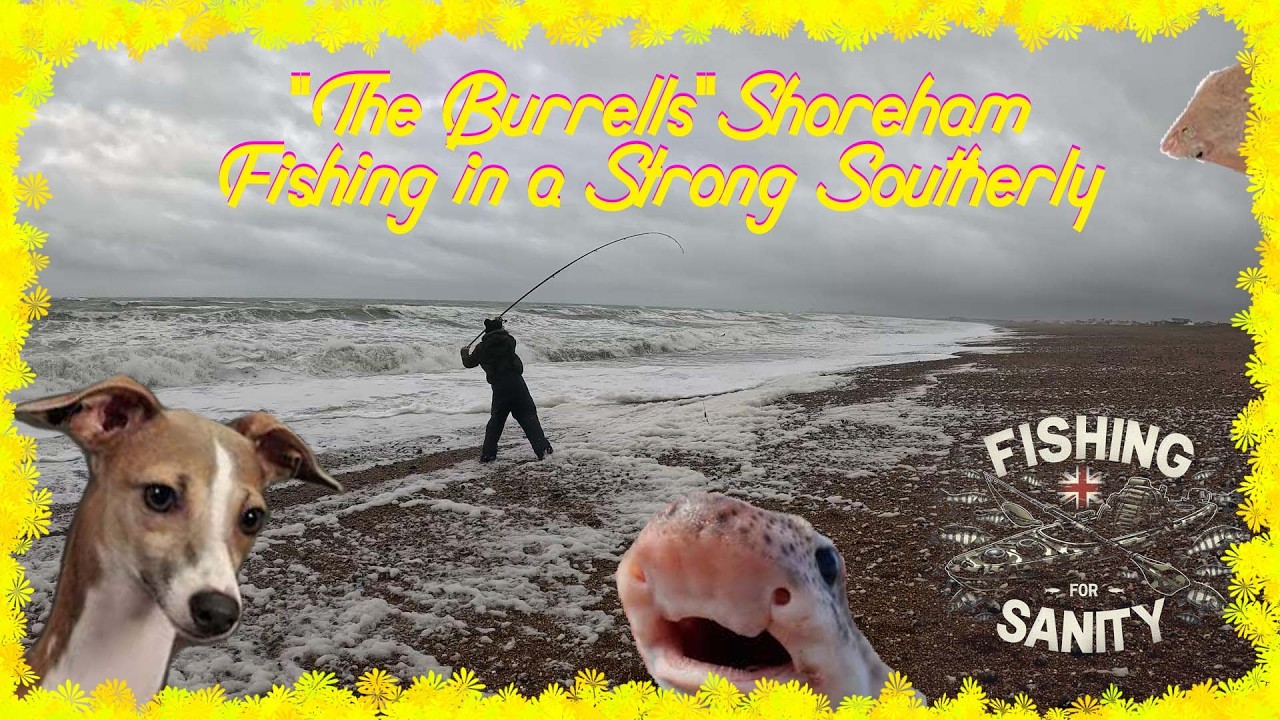 Braving Stormy Seas for a Surprise Catch | Shoreham Fishing Session