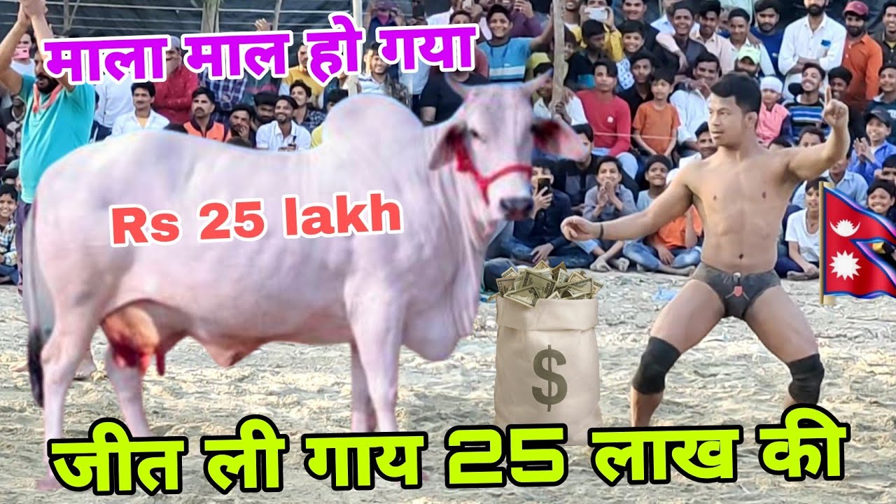 जीत ली फिर से 25 लाख की गाय मलामाल हो गया नेपाली देवा थापा ले जायेगा नेपाल  dangal kusti deva thapa