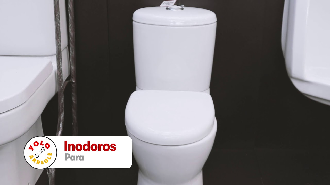 Tipos de inodoros