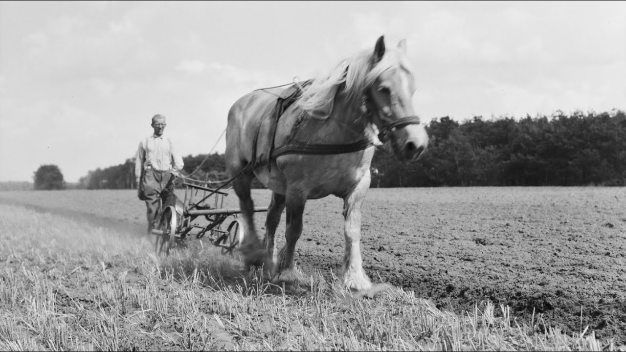 Ry Cooder-Taxes on the farmer feeds us all