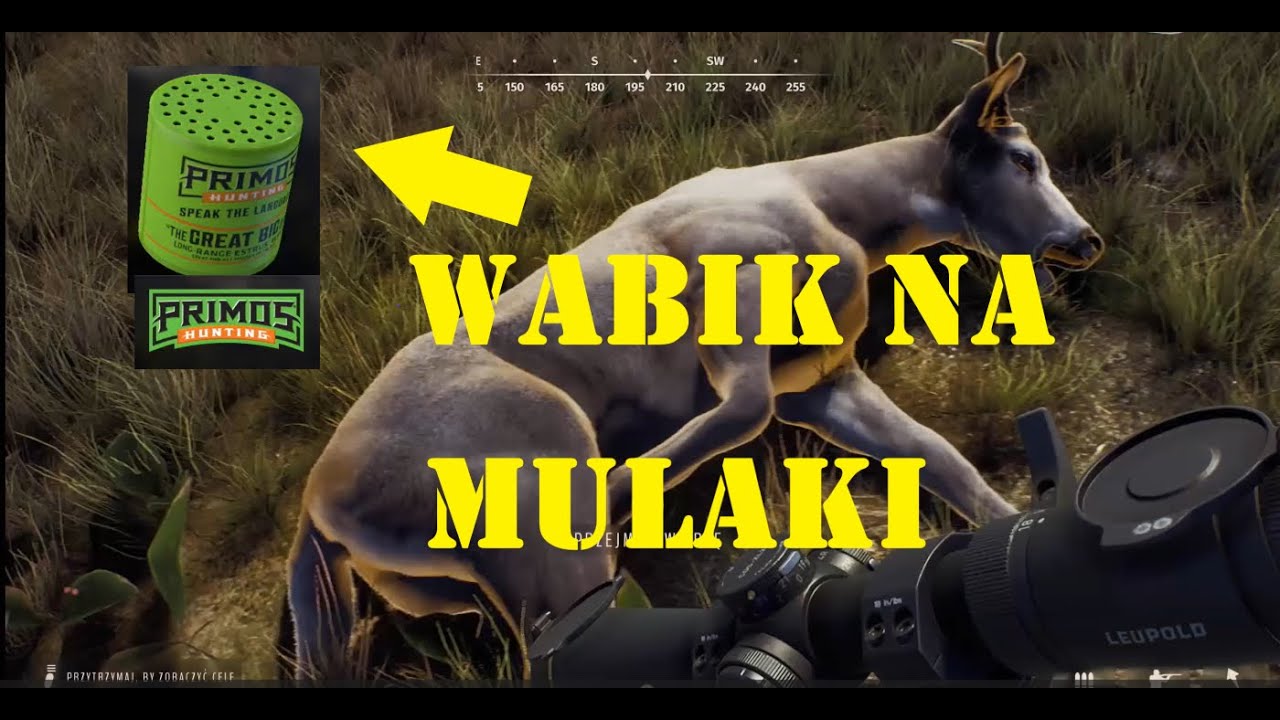 Way of the hunter PS5#2 PL Wabik na mulak Great Big Can/ łatwe polowanie