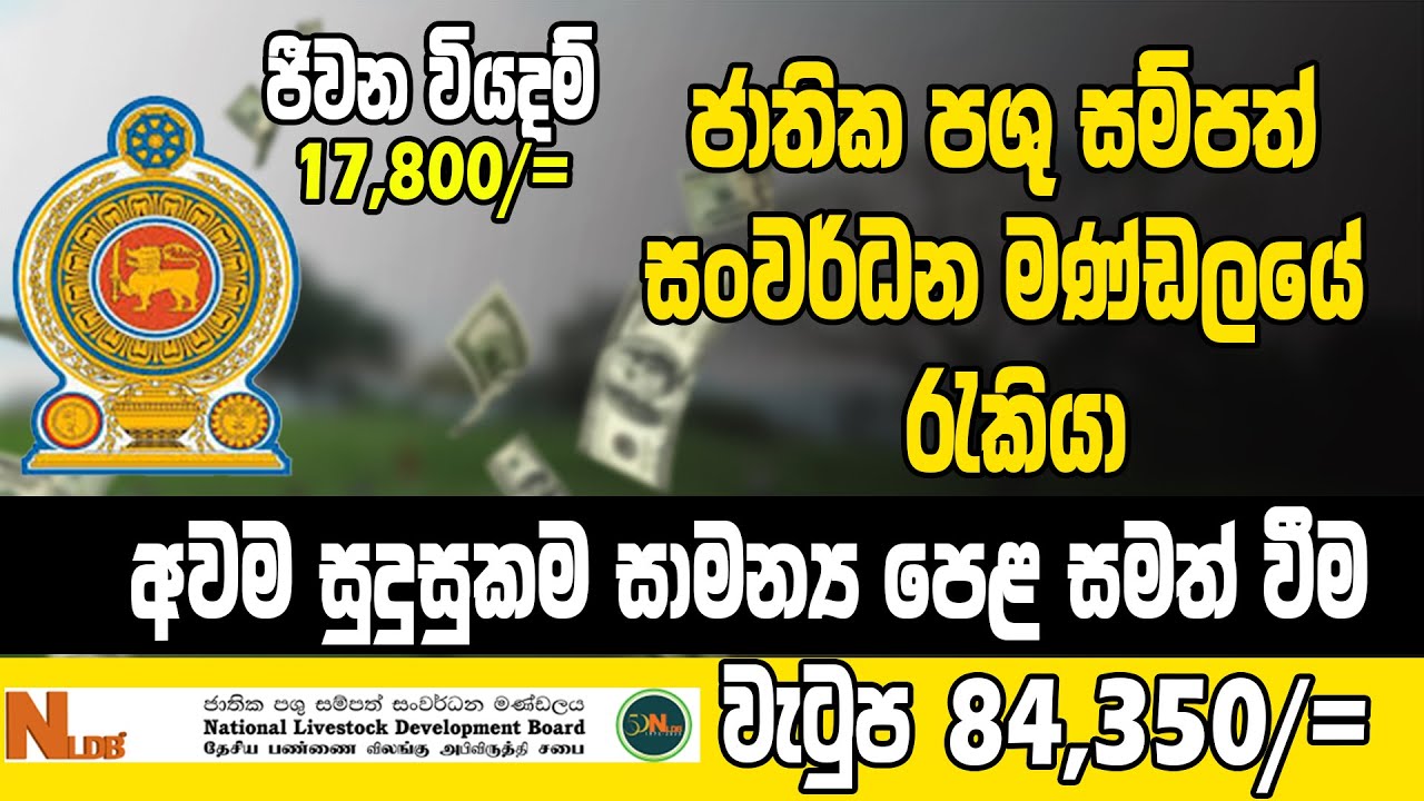 ජාතික පශු සම්පත් සංවර්ධන මණ්ඩලයේ රැකියා ඇබෑර්තු | Government Job Vacancy 2026