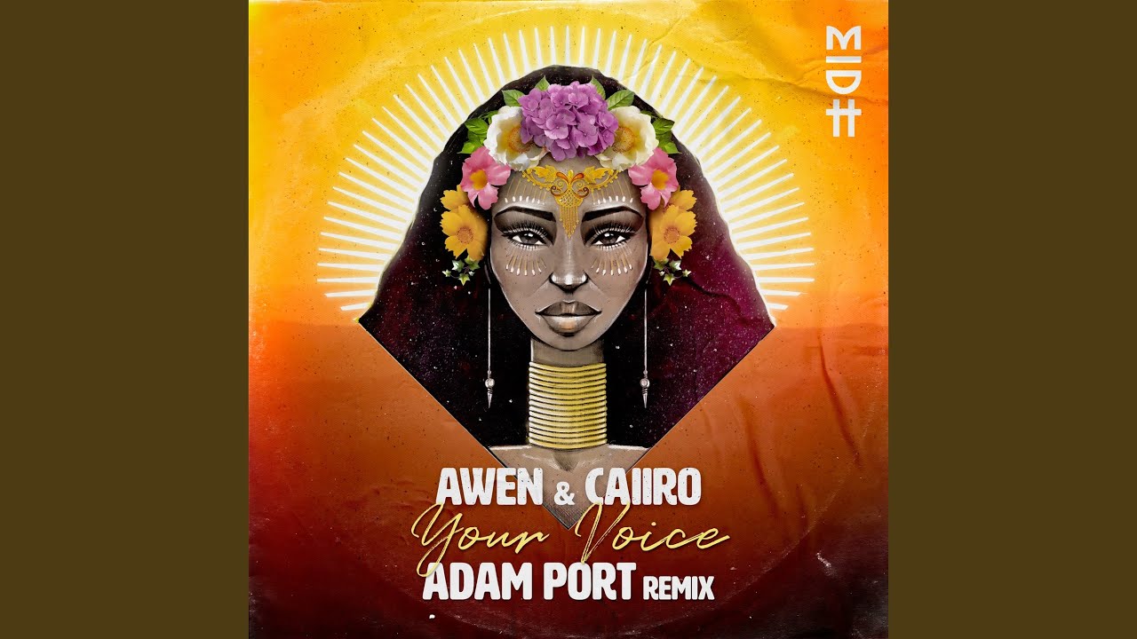 Your Voice (Adam Port Remix)