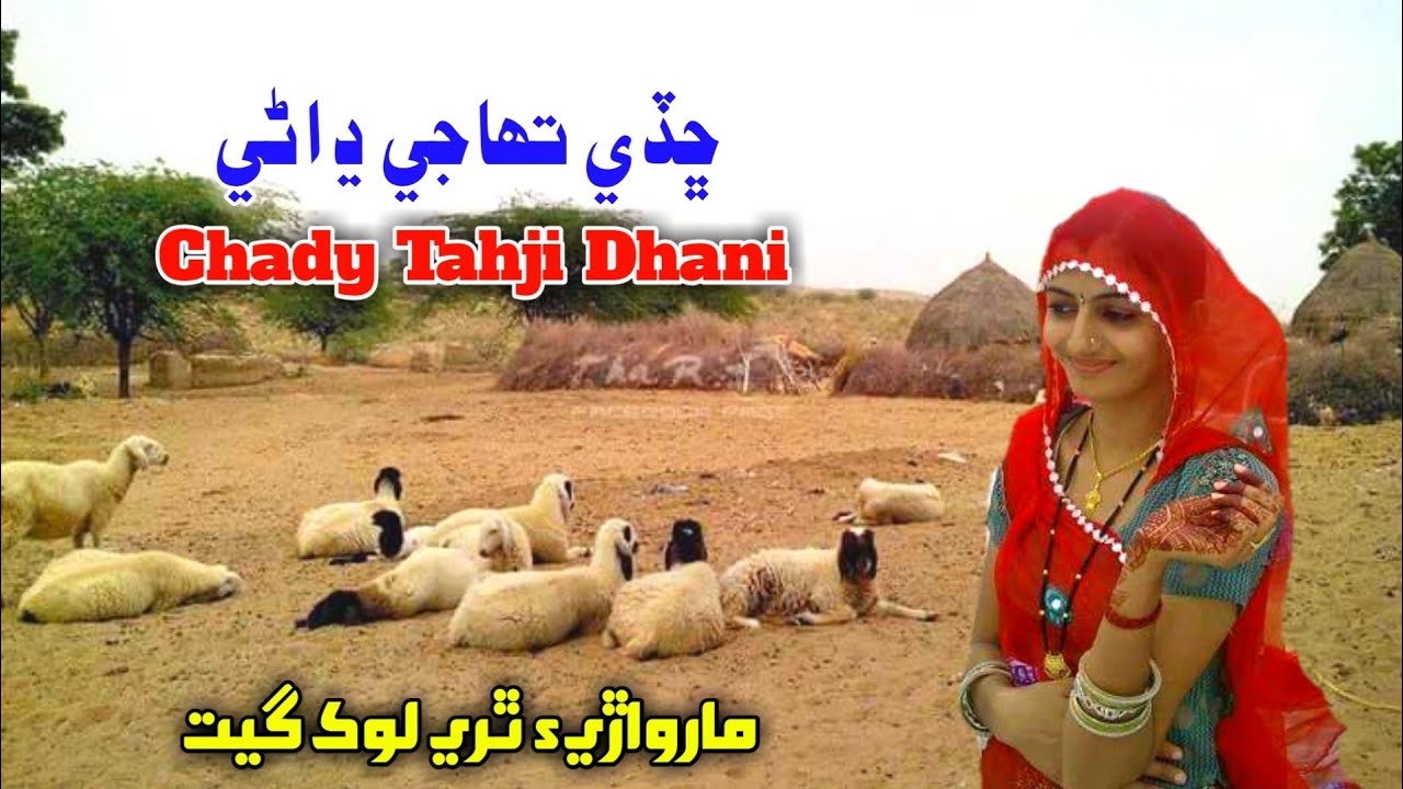 Chady Tahji Dhani Janera Pai Jawon | Marwari Thari Lok Geet | Dilbar Chahwan New Album