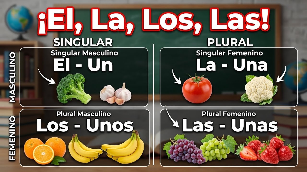 Los ARTÍCULOS en femenino y masculino del singular y plural.