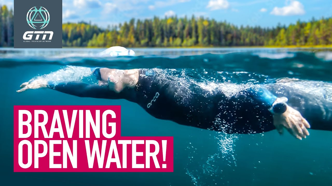 Surviving Open Water | Is Swimming in Lakes and Dams Safe For You?