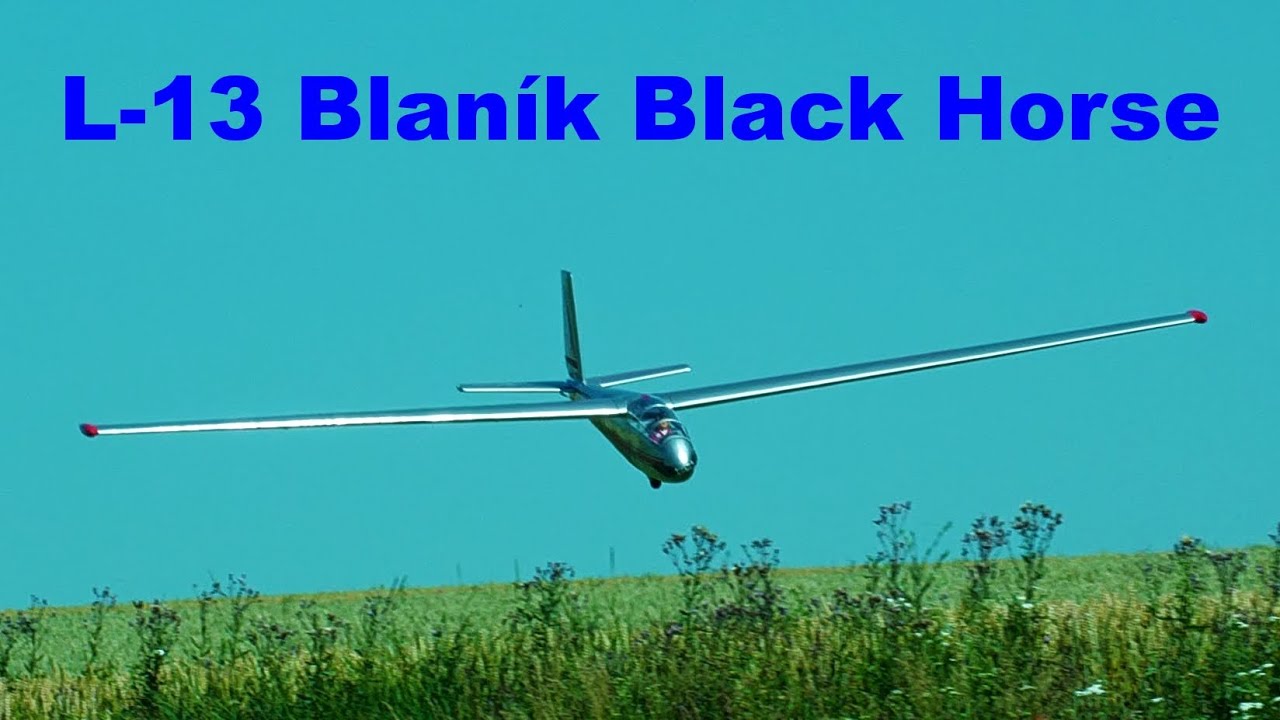 L-13 Blanik Black Horse Model | scale RC glider | 4K | Syrovice 2021