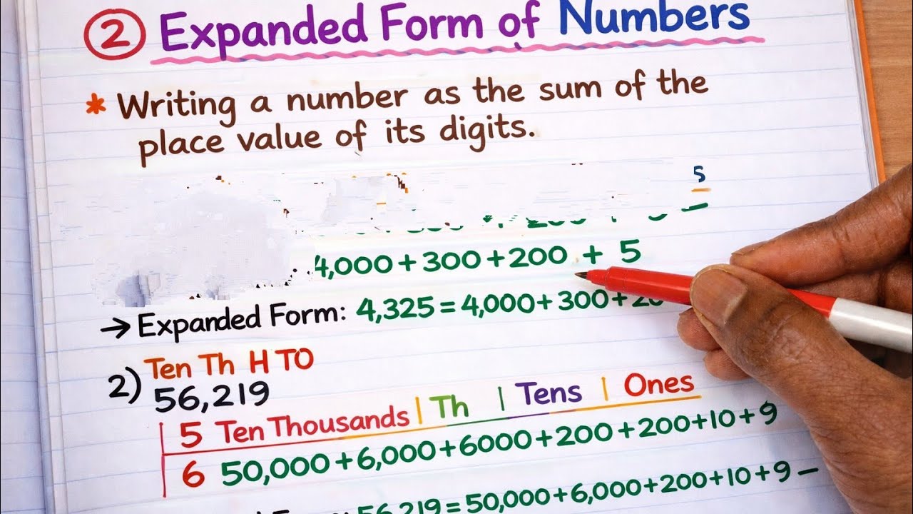 Expanded Form of Numbers ✍️ | Place Value Explained | விரிவாக்க வடிவம்