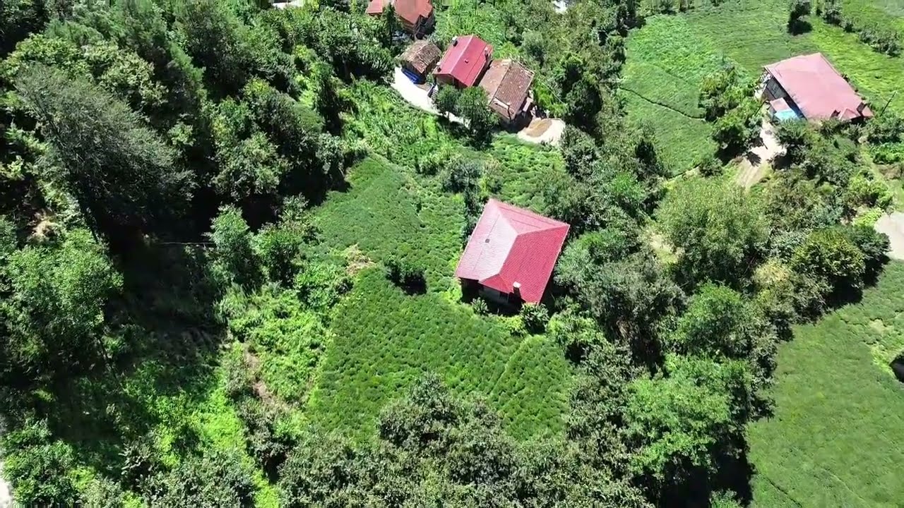 Trabzon/OF Taşhan köyü