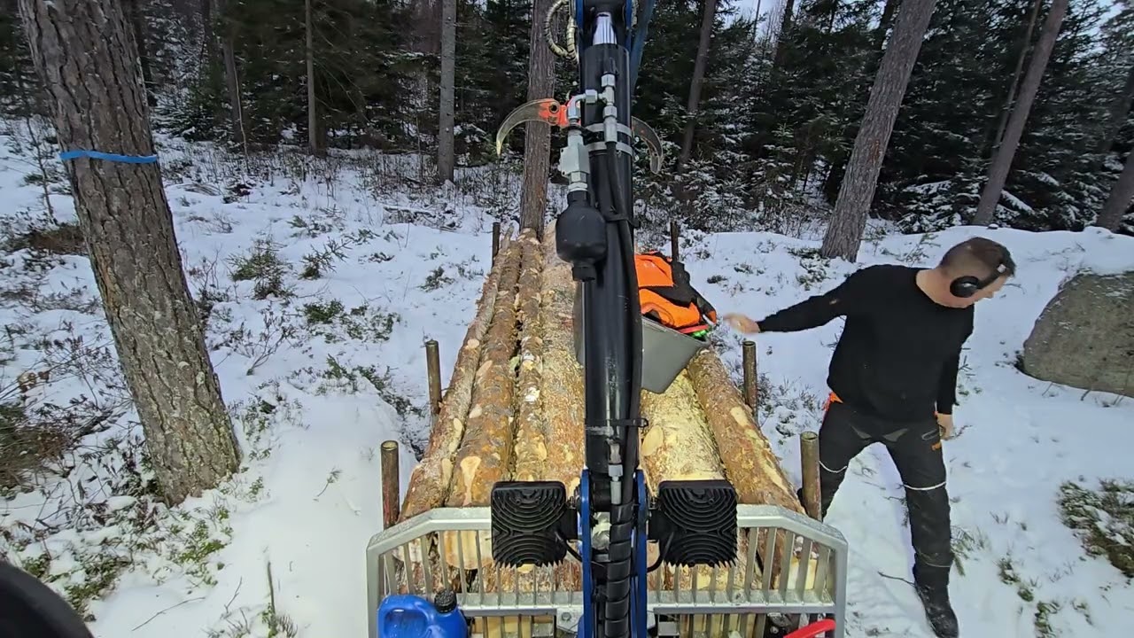 Skotning talltimmer Del 2 Lilla Blå