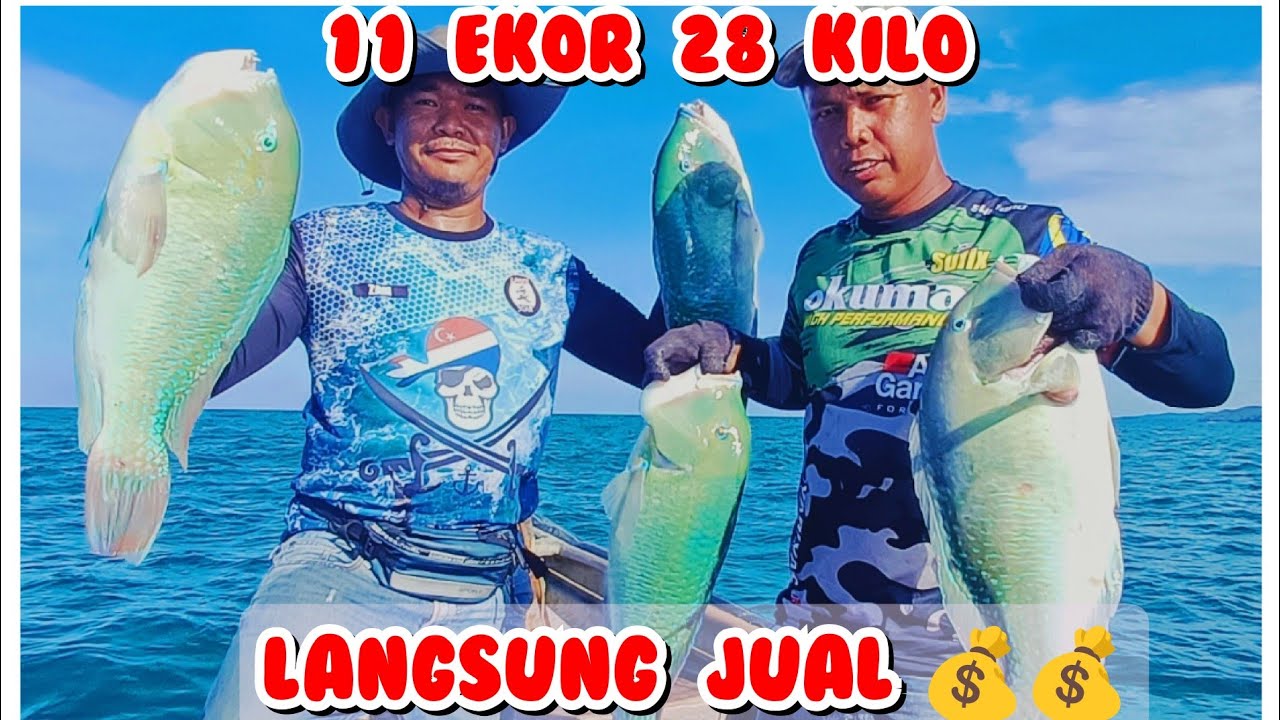 Ketarap Laut Sedili #orangsedili #mancinglaut #merawailaut #bayan #parrotfish #lautsedili