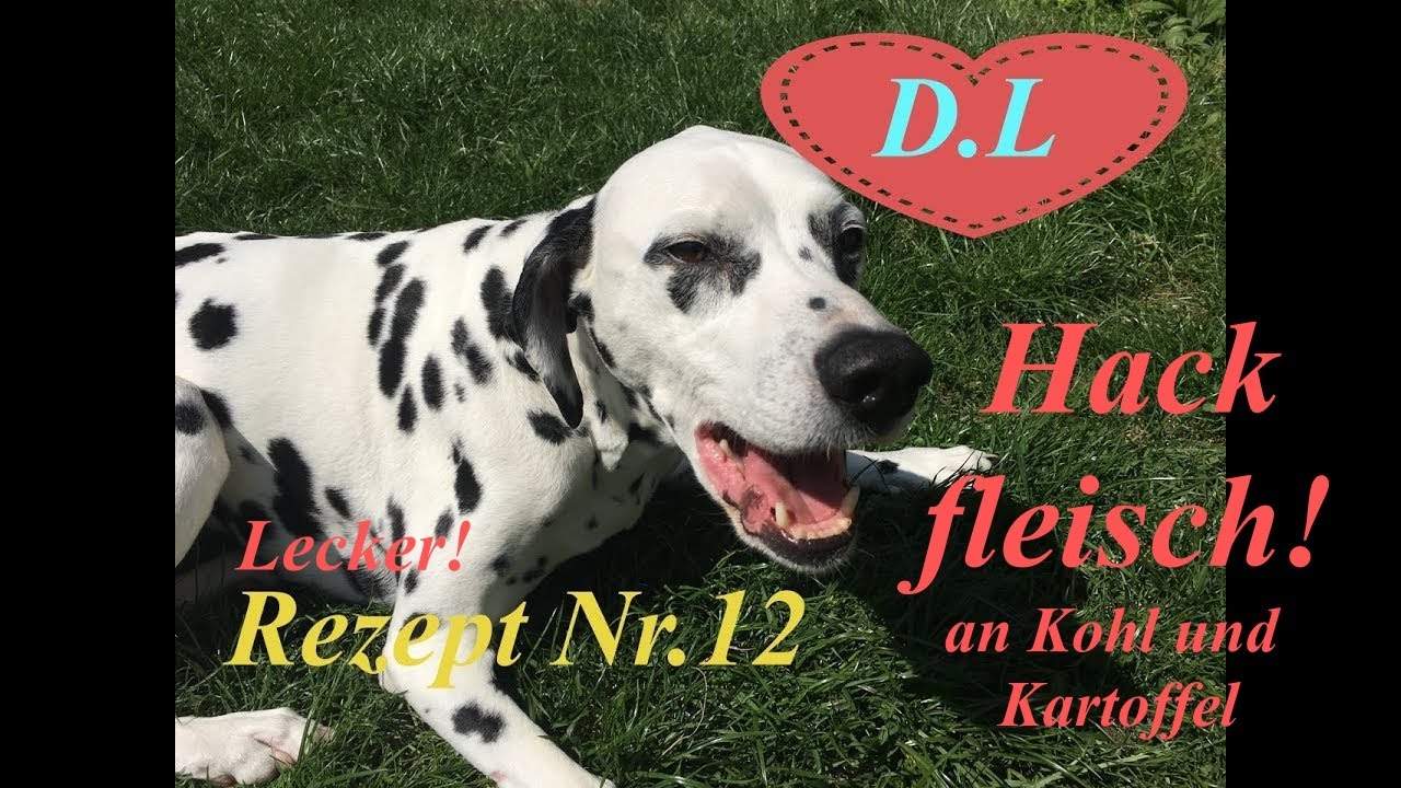 Kochen für den Hund.Hundefutter selber machen.Hackfleisch,Kohl und Kartoffel.Rezept Nr.12 u.Nr.13