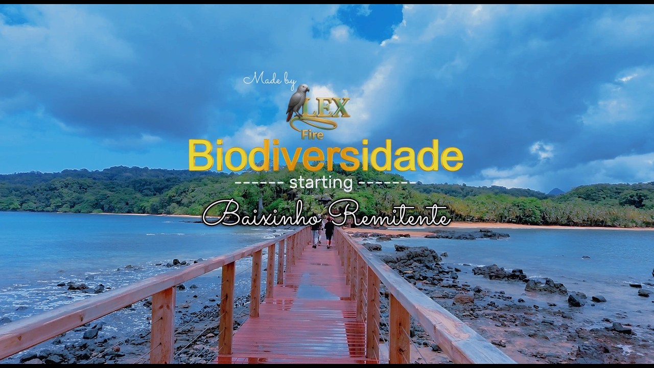 Baixinho Remitente-  Biodiversidade (LexFire)