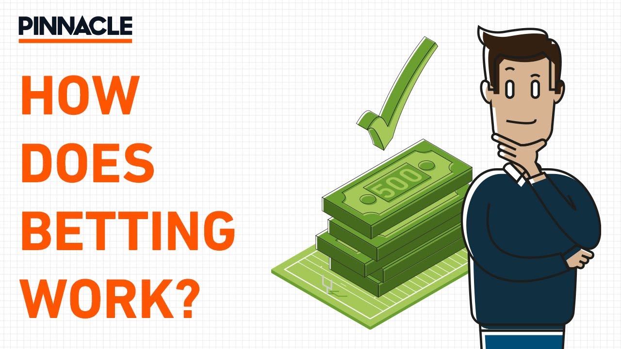 Basics of Betting | Episode 1 - How does betting work?