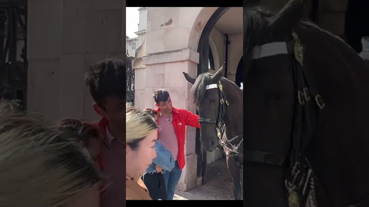 Horse Enjoys warm touch from Tourists at Horse Guard Parade
