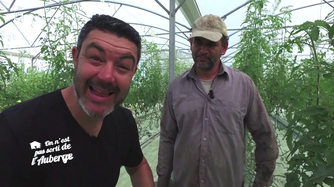 On n'est pas sorti de l'auberge n°16 : Les tomates de Morel - 13 août 2017