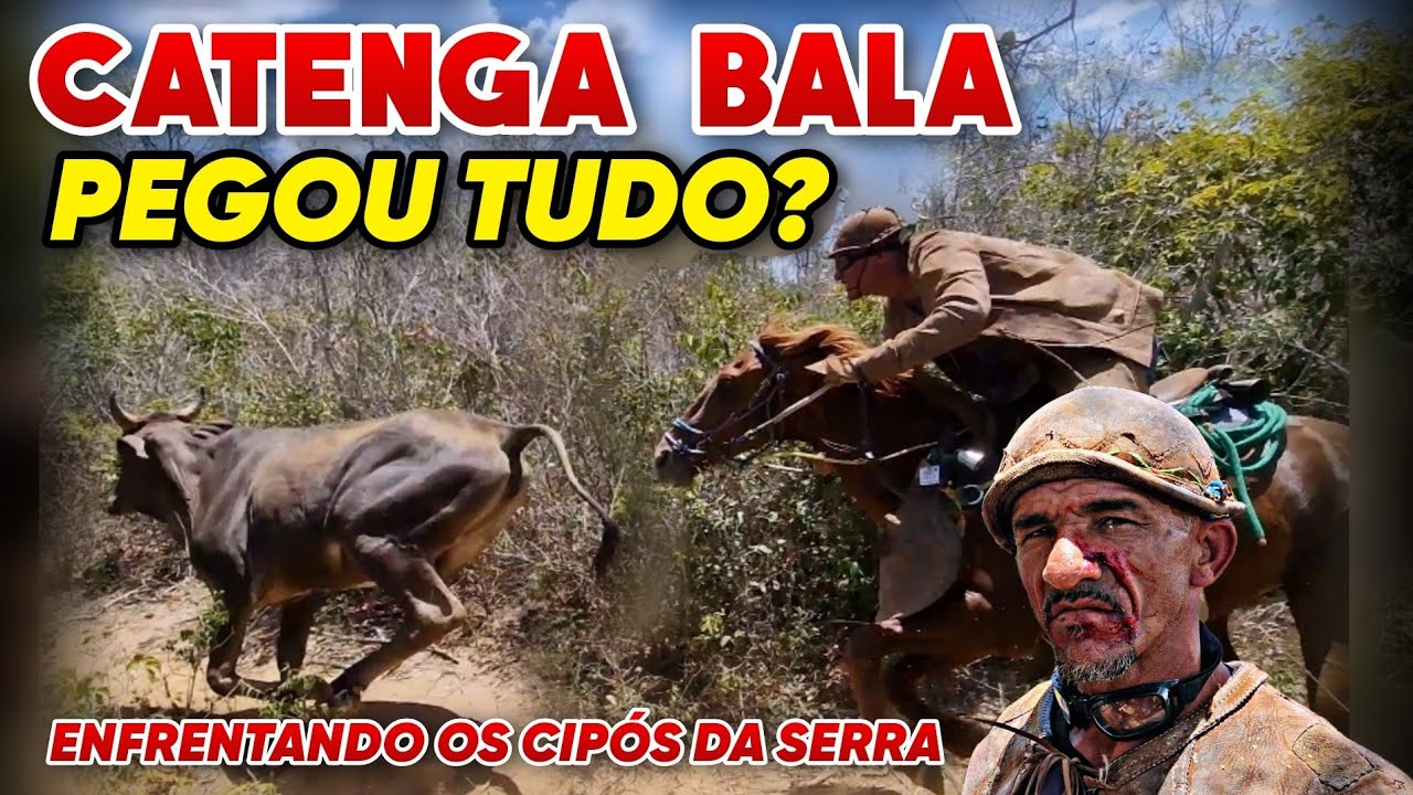OS VAQUEIROS CATENGA BALA, GAZO E ANTÔNIO, TESTARAM O GADO DOS HONORATO