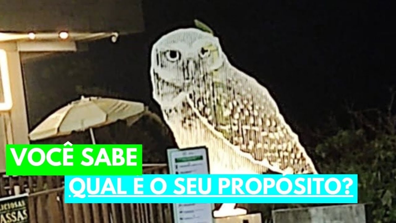 SÍMBOLO DA SABEDORIA (PARA VIAJAR, PRECISAMOS ANTES TRABALHAR) #filosofia #pedagogia #reflexão