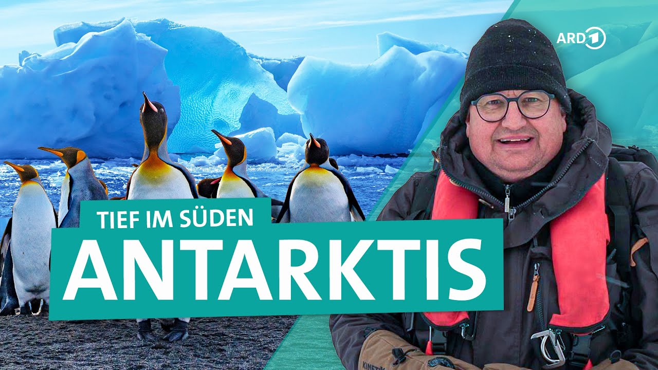Antarktis: Pinguine, Eisberge und Tauchen am Südpol | Tief im Süden 3/3 | ARD Reisen