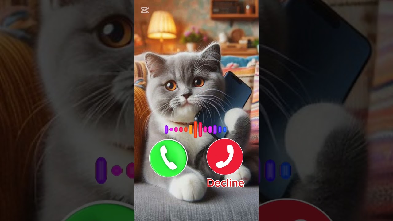 Fack cat calling 