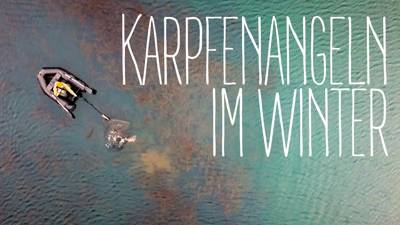 KARPFEN IM WINTER || An den Krautfeldern || Karpfenangeln im Dezember bei Minusgraden